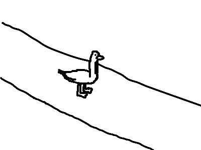 (picture of a duck between two lines)